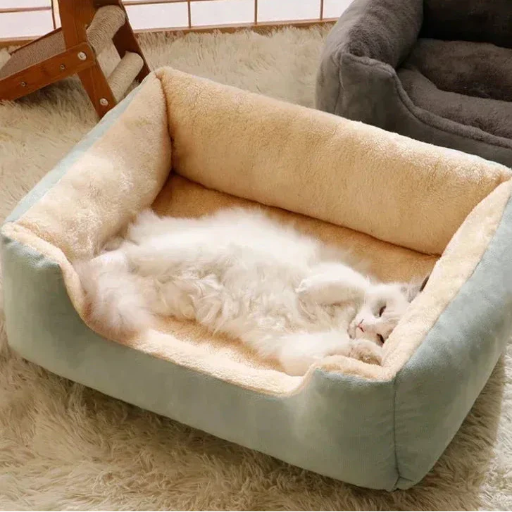 Pet Beds