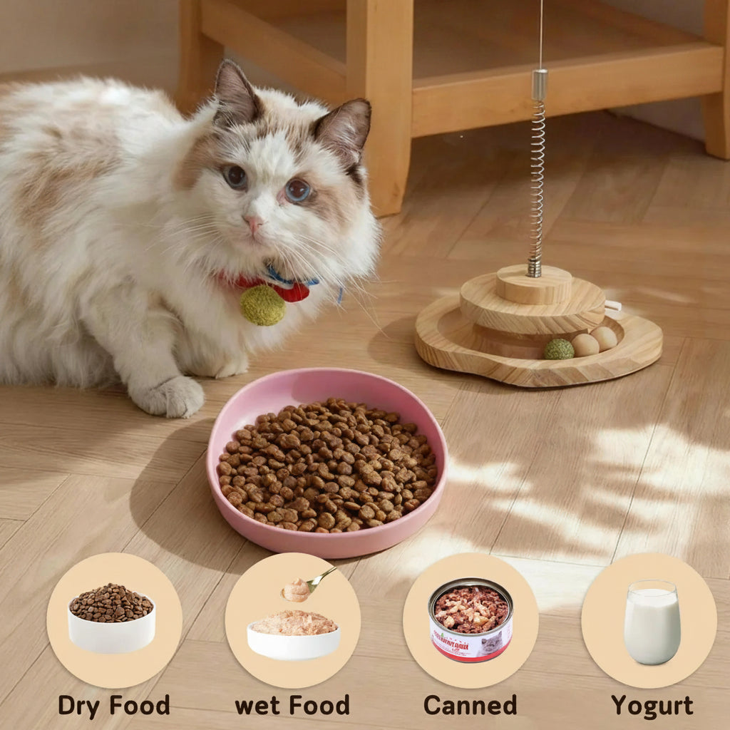 2 Pcs Whisker-Friendly Silicone Wide Shallow Non-Spill Feeding Dish