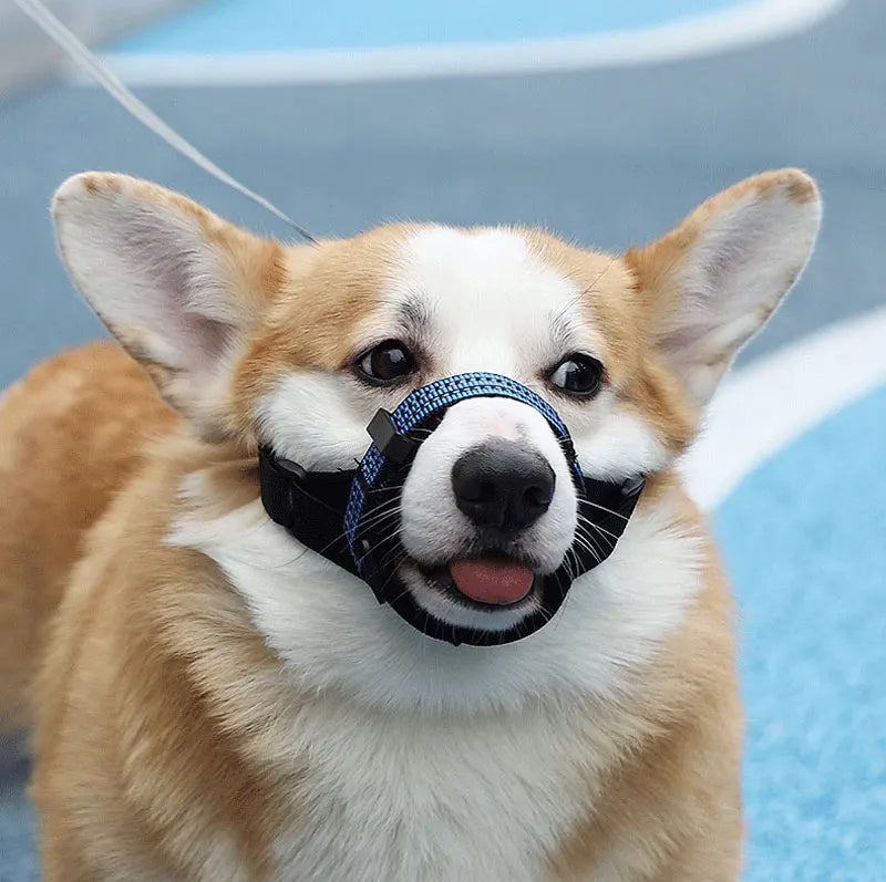 Adjustable Anti-Bark 3M Reflective Dog Training Muzzle