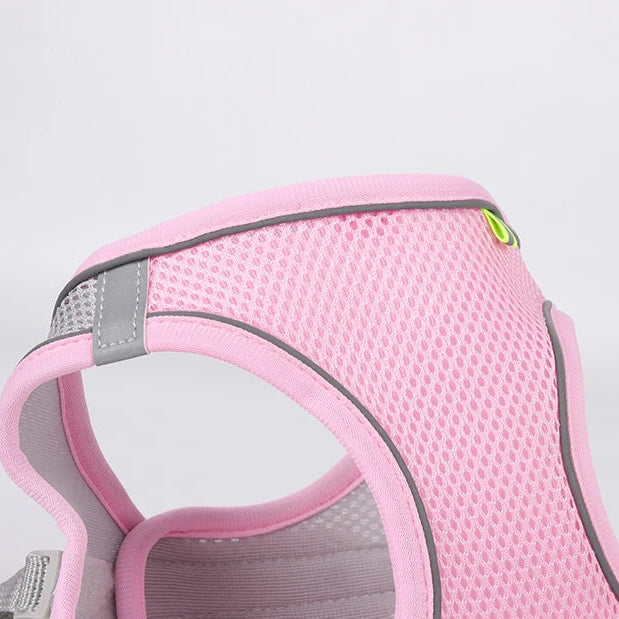 Adjustable Reflective Breathable Mesh Dog Harness & Leash Set
