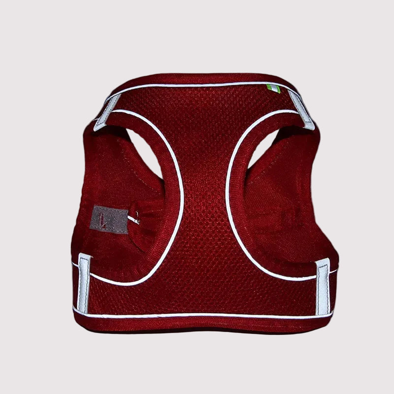 Adjustable Reflective Breathable Mesh Dog Harness & Leash Set