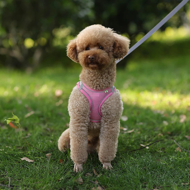 Adjustable Reflective Breathable Mesh Dog Harness & Leash Set
