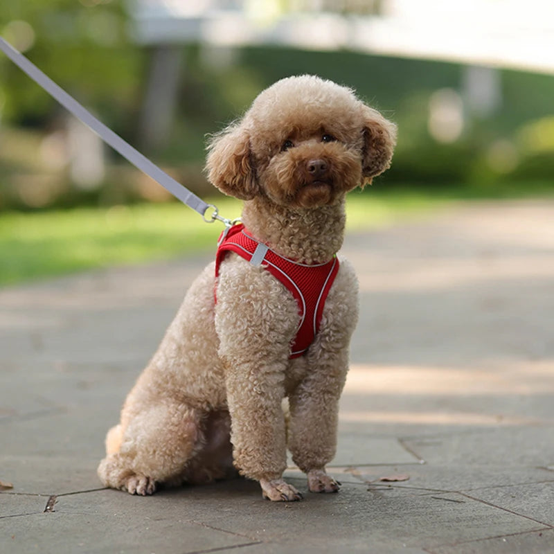 Adjustable Reflective Breathable Mesh Dog Harness & Leash Set