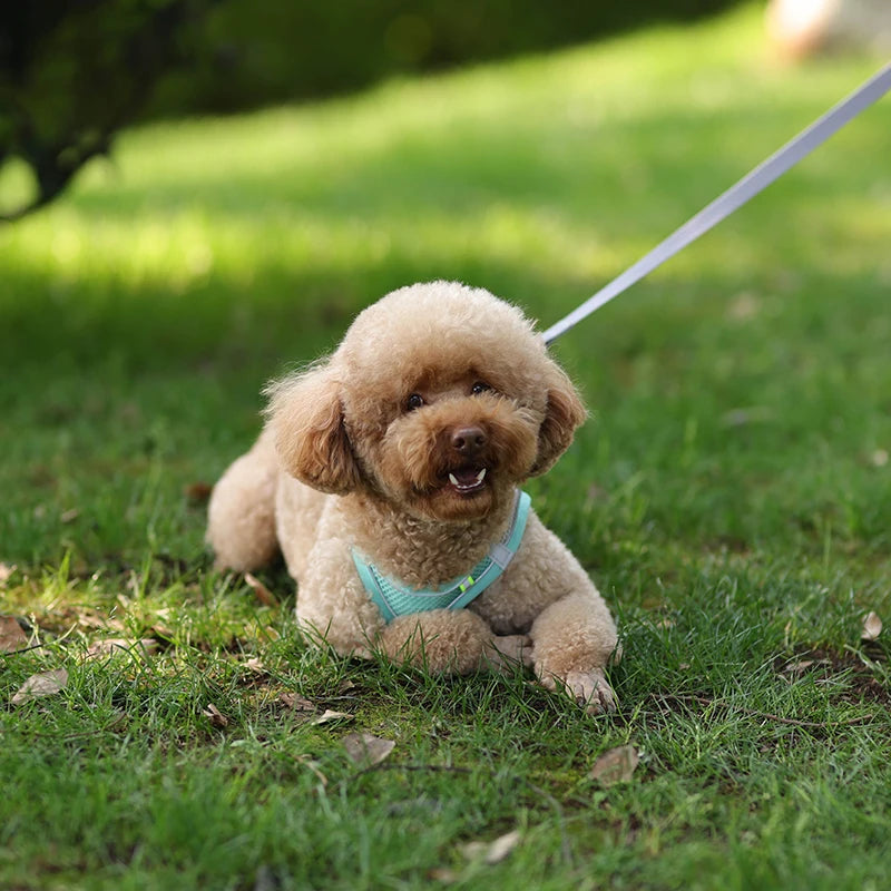 Adjustable Reflective Breathable Mesh Dog Harness & Leash Set