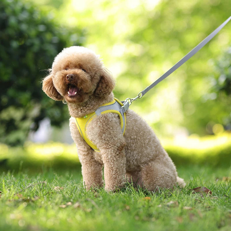 Adjustable Reflective Breathable Mesh Dog Harness & Leash Set