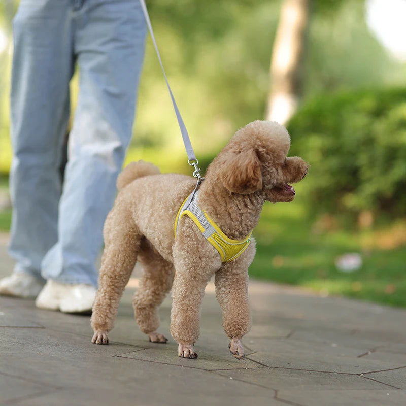 Adjustable Reflective Breathable Mesh Dog Harness & Leash Set