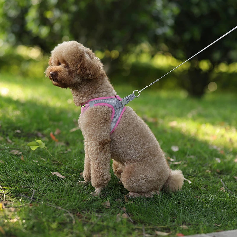 Adjustable Reflective Breathable Mesh Dog Harness & Leash Set