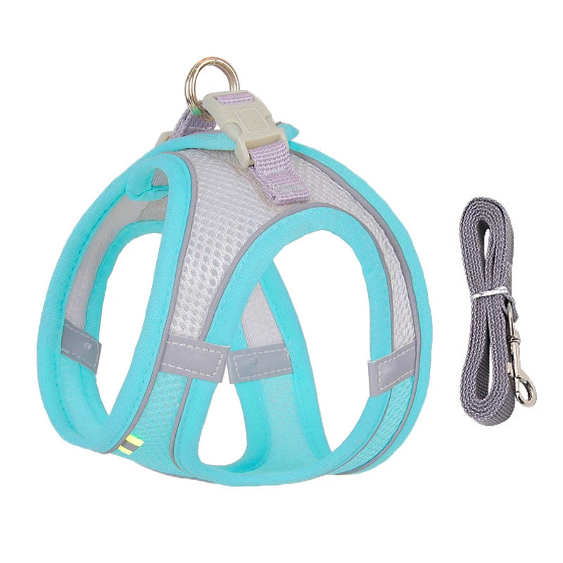 Adjustable Reflective Breathable Mesh Dog Harness & Leash Set