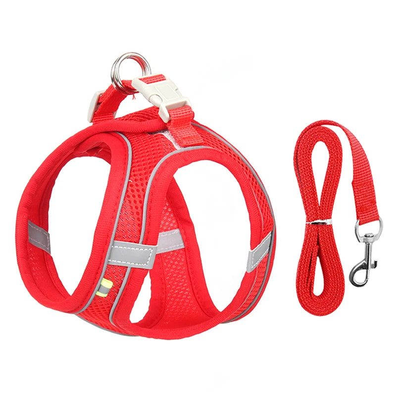 Adjustable Reflective Breathable Mesh Dog Harness & Leash Set