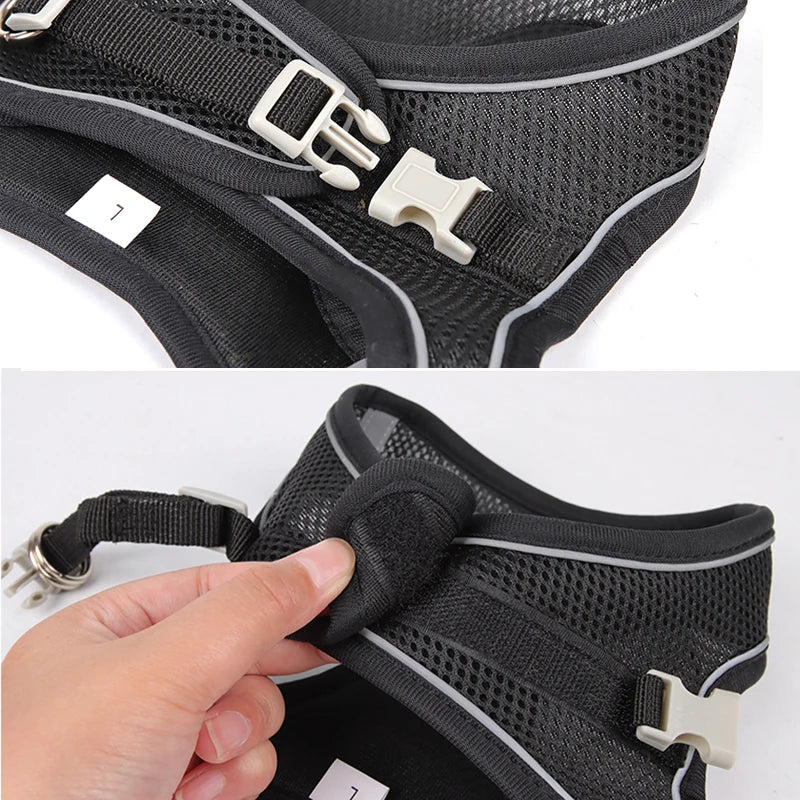 Adjustable Reflective Breathable Mesh Dog Harness & Leash Set