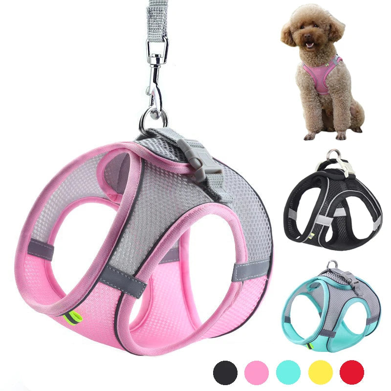 Adjustable Reflective Breathable Mesh Dog Harness & Leash Set