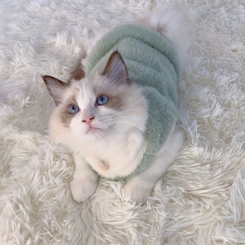 Adorable Sweater Vests for Cats and Puppies