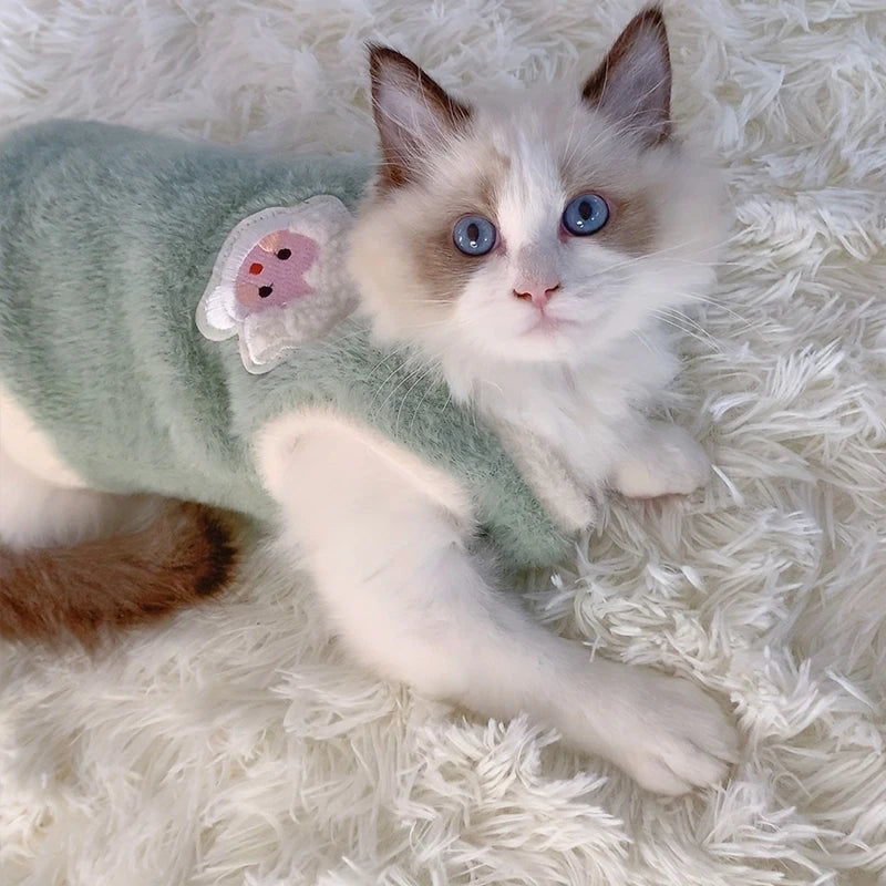Adorable Sweater Vests for Cats and Puppies