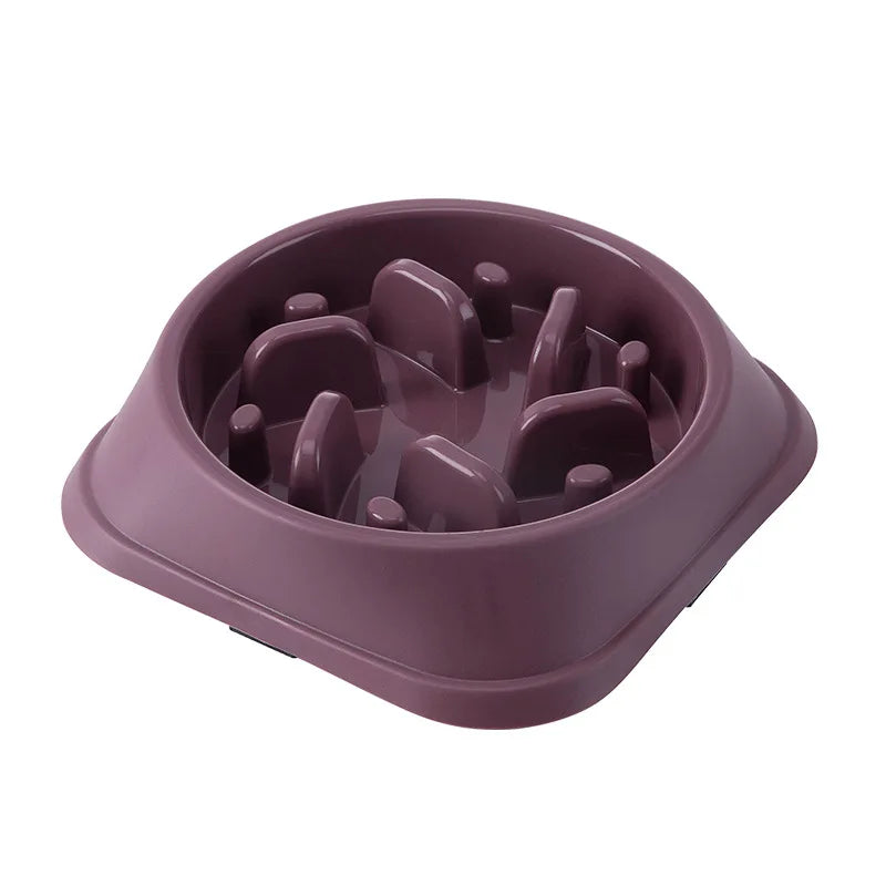 Anti-Choking Non-Slip Maze Design Slow Feeder Pet Bowl