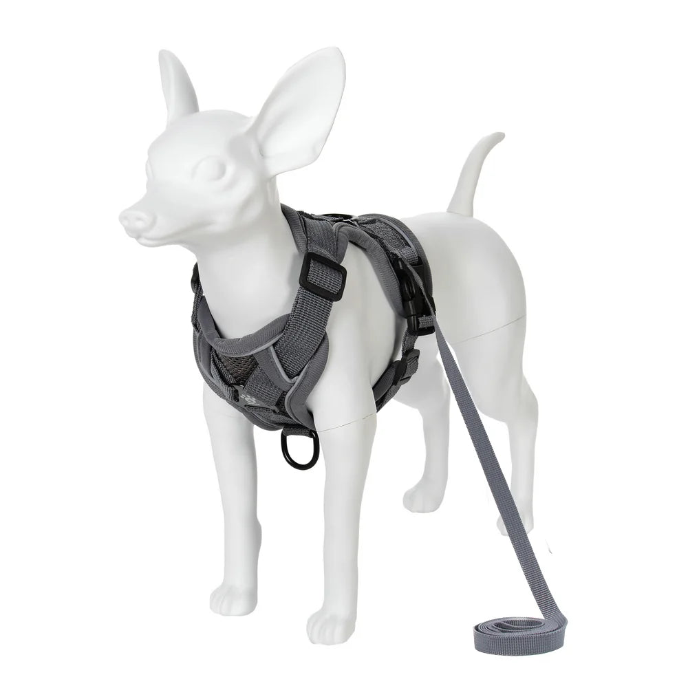 Breathable Adjustable Reflective Harness Leash Vest Set
