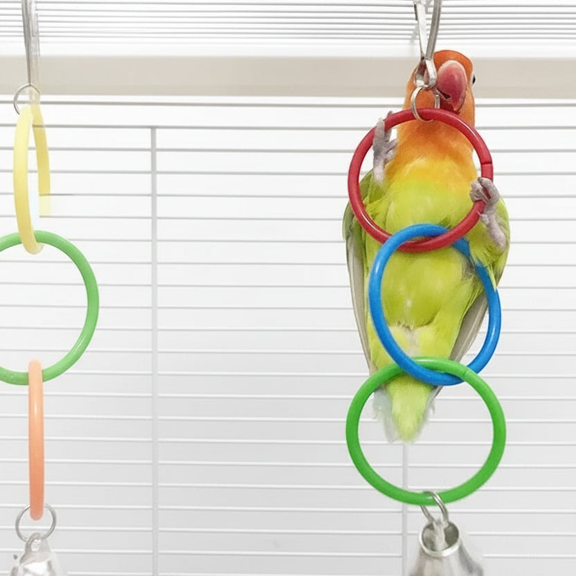 Colorful Hanging Bird Ring Climbing And Chewing Toy