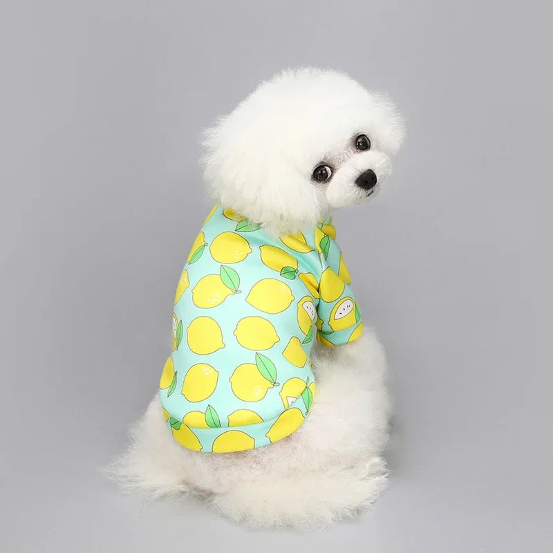 Cozy Fleece Pet Sweatshirt for Cats & Dogs