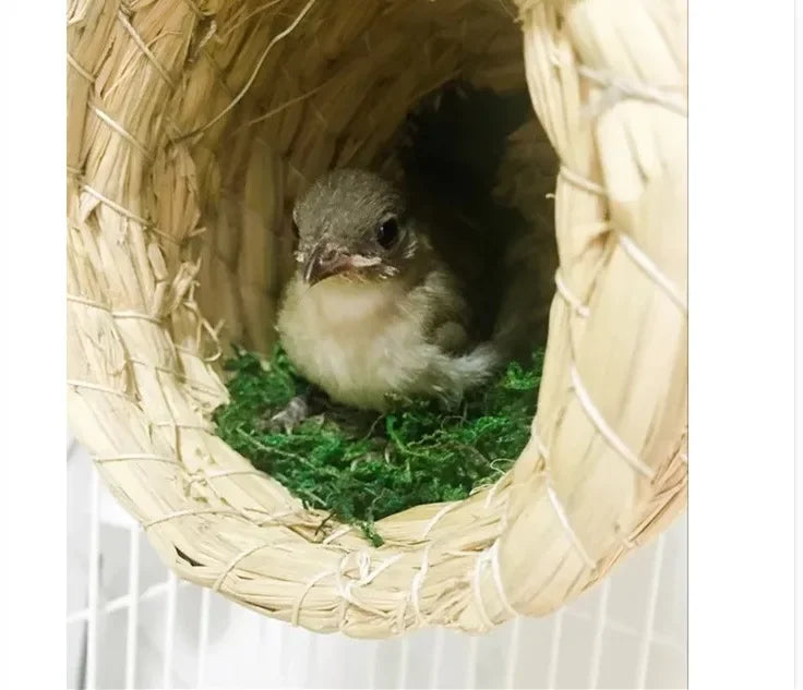Cozy Handwoven Natural Straw Bird Nest House