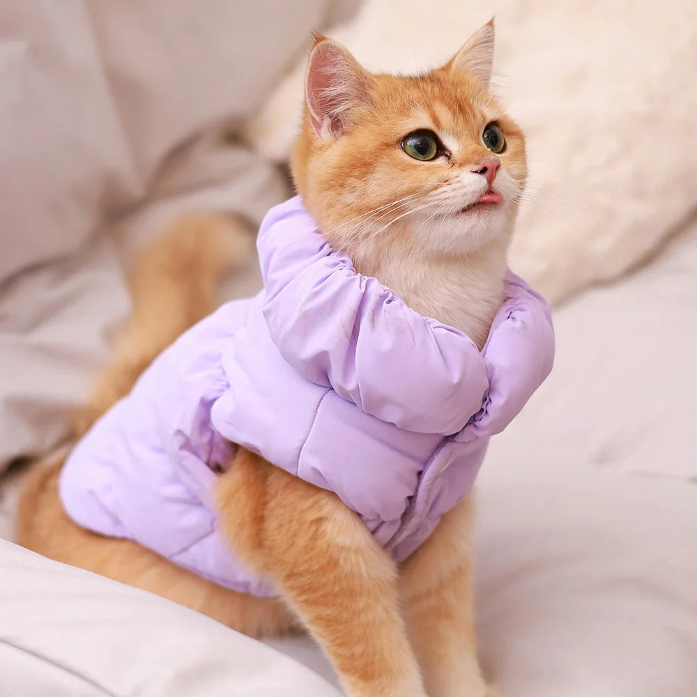 Cozy Padded Winter Pet Jacket