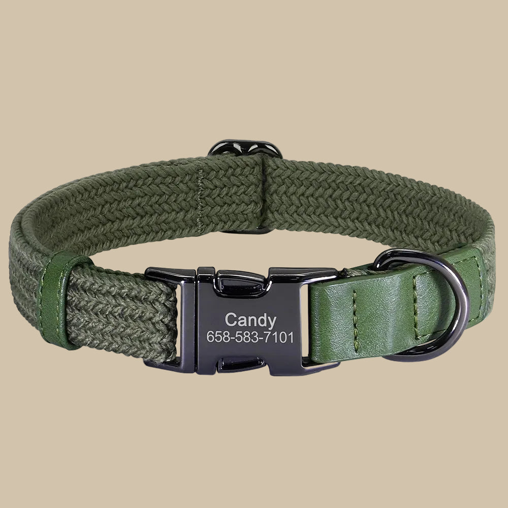 Custom Engraved Nylon Dog Collar with Personalized Name Buckle