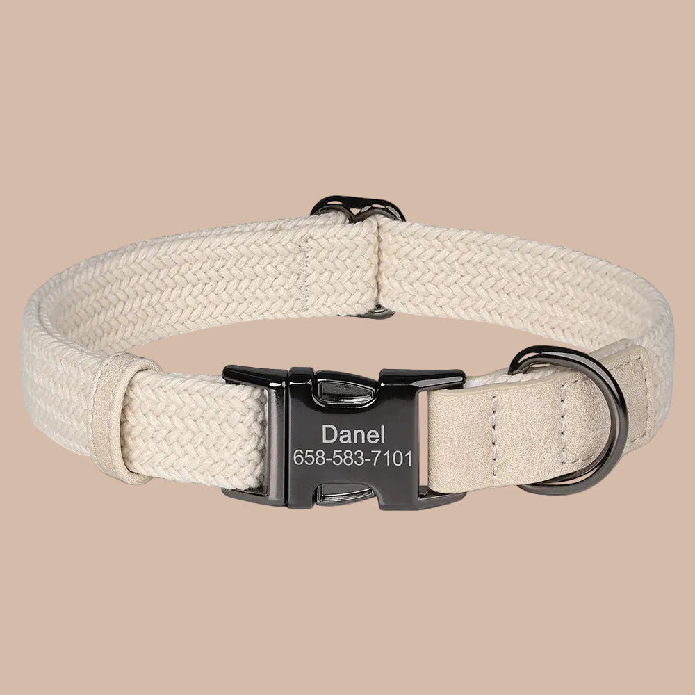 Custom Engraved Nylon Dog Collar with Personalized Name Buckle
