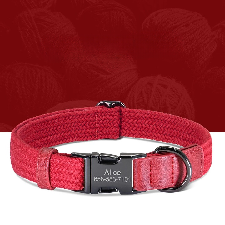 Custom Engraved Nylon Dog Collar with Personalized Name Buckle