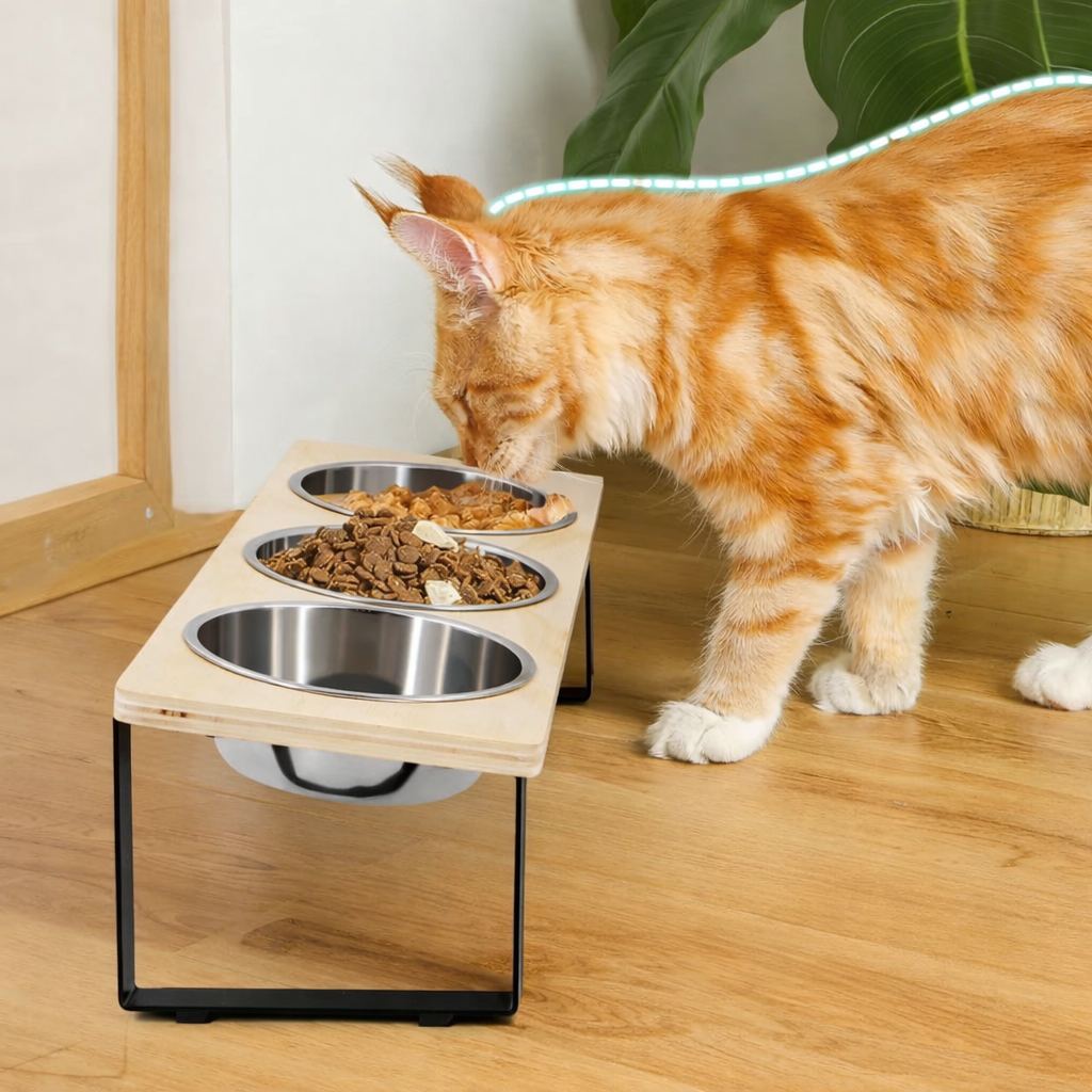 Elevated Tilted Pet Feeder with 3 Stainless Steel Bowls