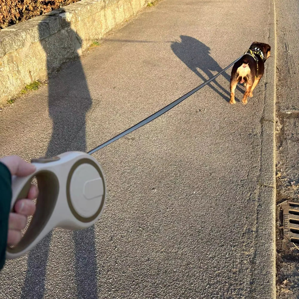 Extendable and Retractable Dog Strap Leash