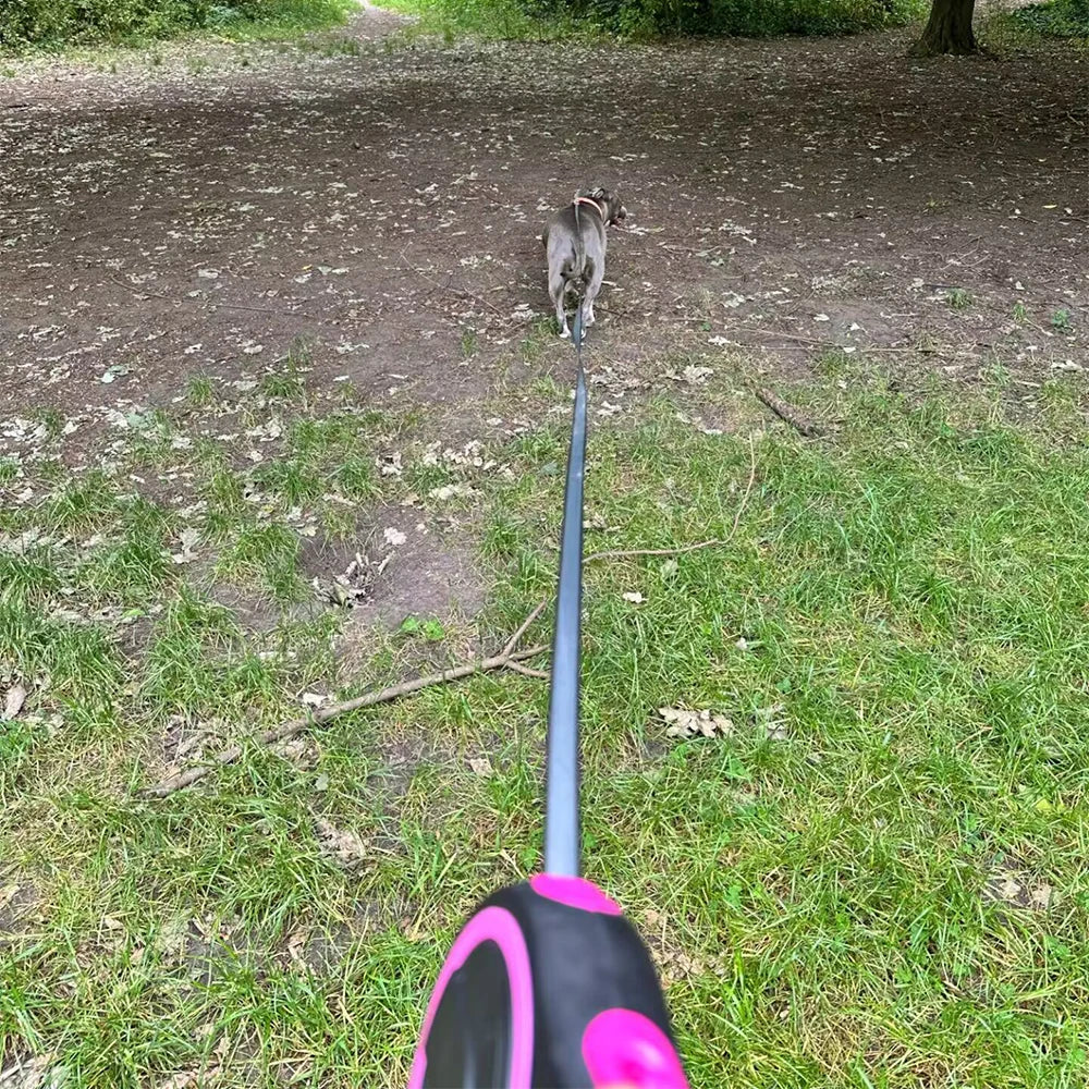 Extendable and Retractable Dog Strap Leash