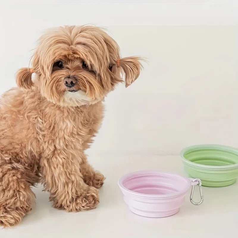 Foldable Silicone Pet Travel Bowl With Carabiner Clip