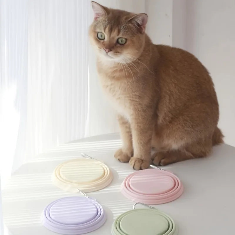 Foldable Silicone Pet Travel Bowl With Carabiner Clip