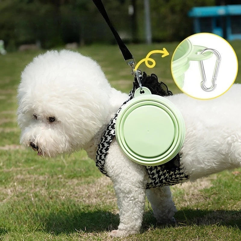 Foldable Silicone Pet Travel Bowl With Carabiner Clip