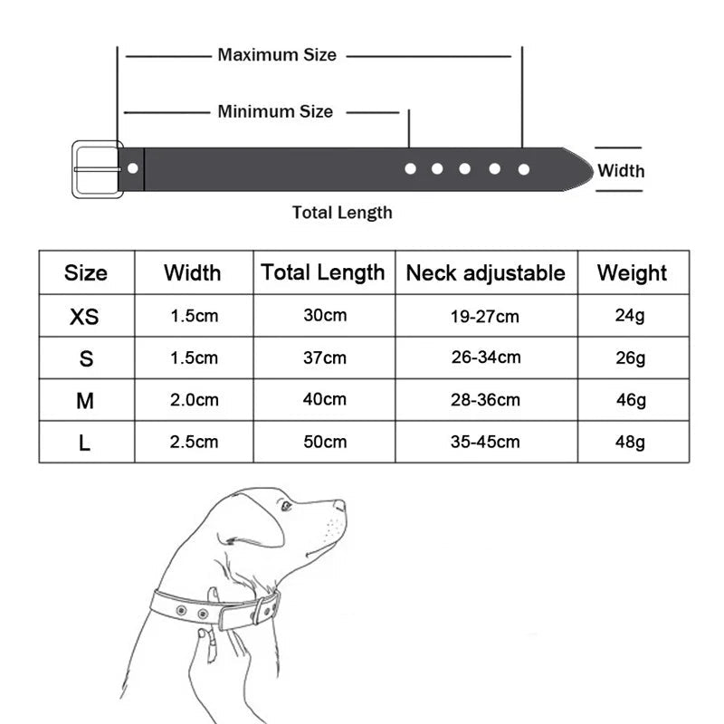 Durable Leather with Bone Charm Pet Collars