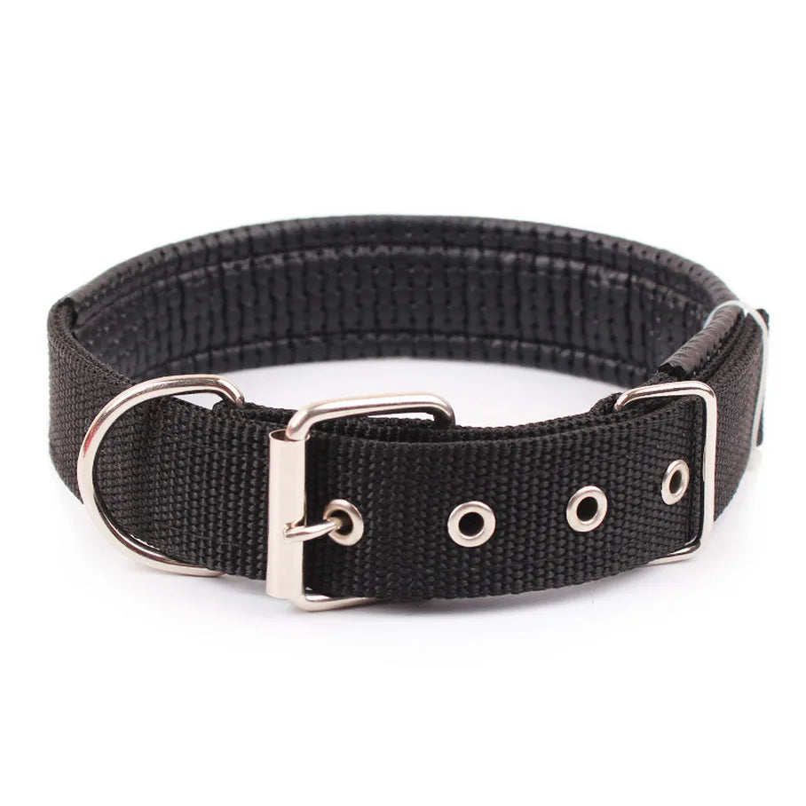 Sturdy Solid Color Nylon Pet Collar for Dogs and Cats
