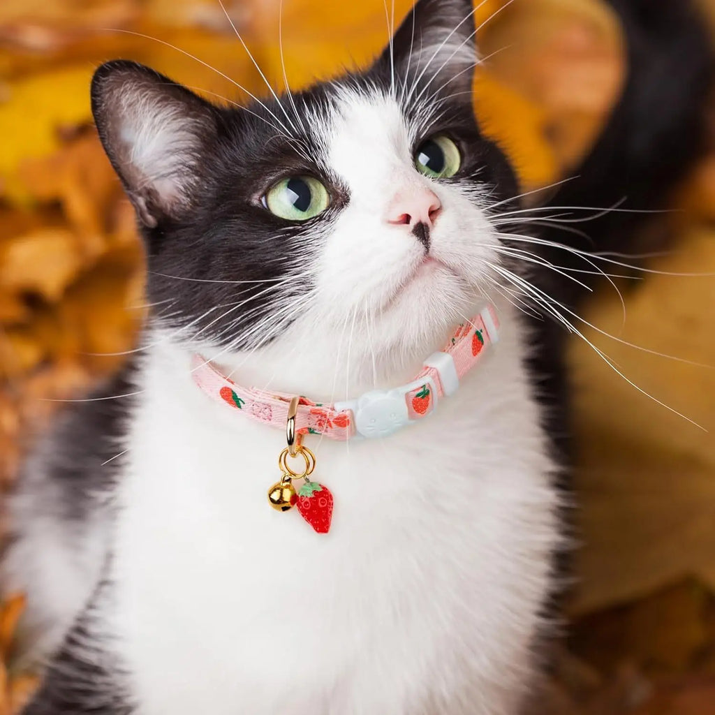 Handmade Cotton Strawberry & Heart Breakaway Cat Collar Duo