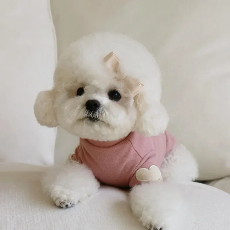 Heart Pattern Comfortable Pet Hoodie for Cats and Puppies