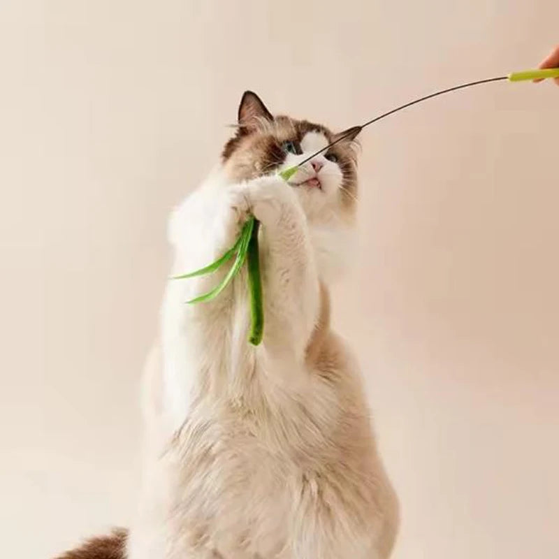 Interactive Flexible Wire Feather Cat Teaser Wand with Tail Grass