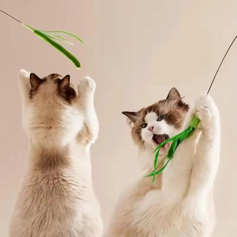 Interactive Flexible Wire Feather Cat Teaser Wand with Tail Grass