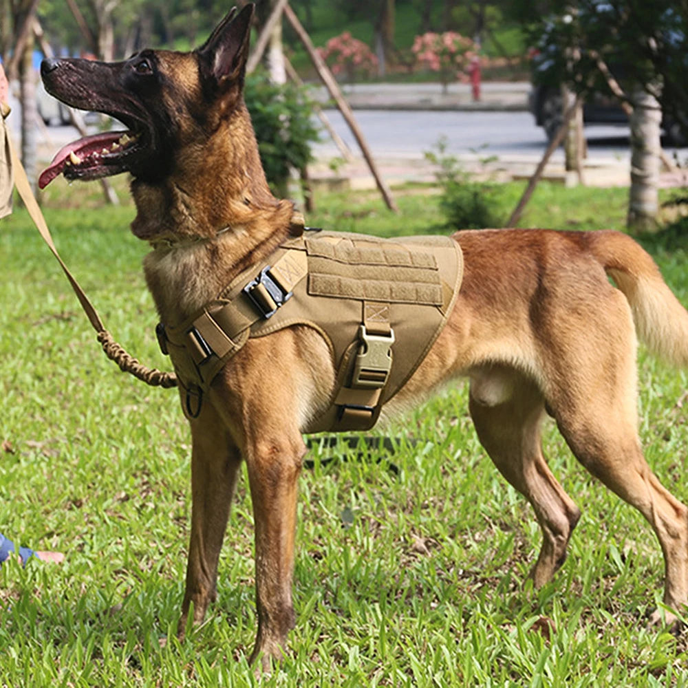 Military Style Large Dog Training Vest Harness