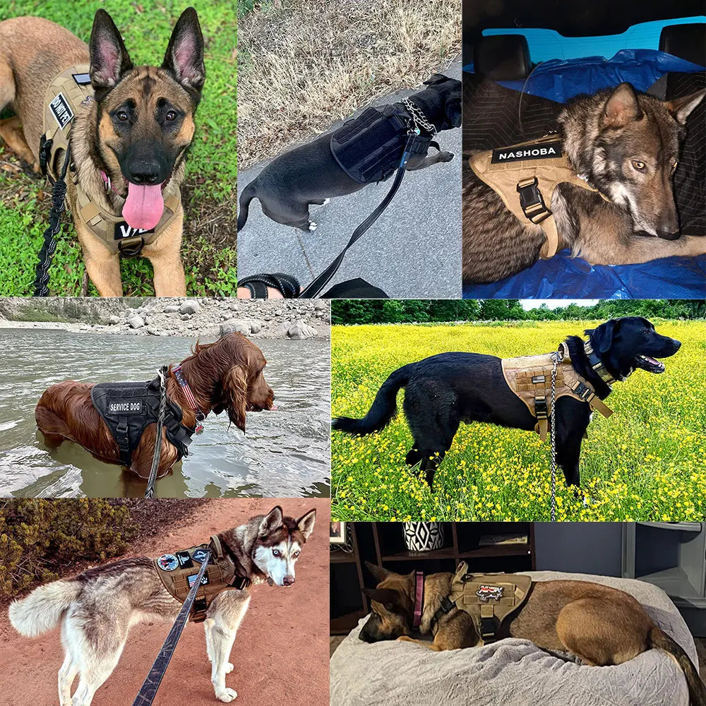 Military Style Large Dog Training Vest Harness