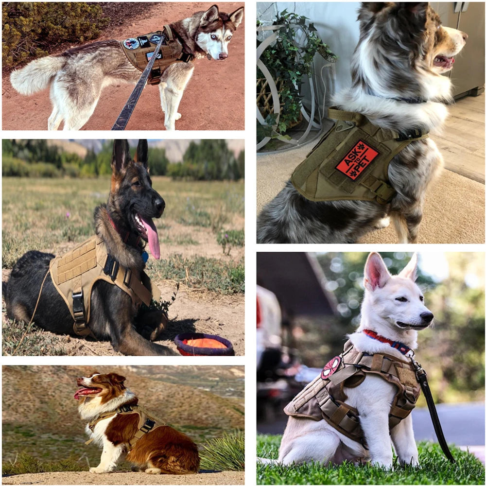 Military Style Large Dog Training Vest Harness