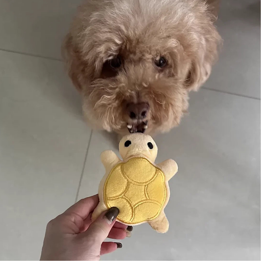 Mini Turtle Squeaky Teething Relief Plush Toy