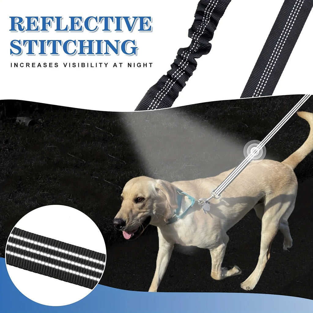 No-Tangle Double Dog Leash Coupler with Reflective Bungee