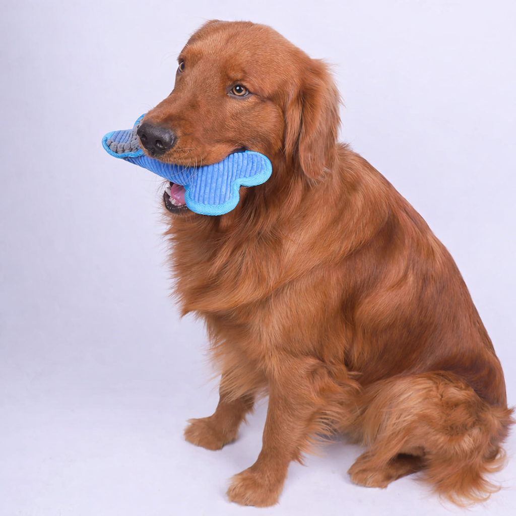 Pawsitory Plush Squeaky Bones Stuffed Dog Toy