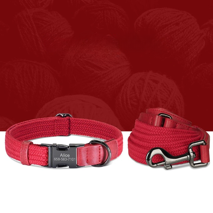 Personalized Durable Nylon Dog Collar & Leash Set