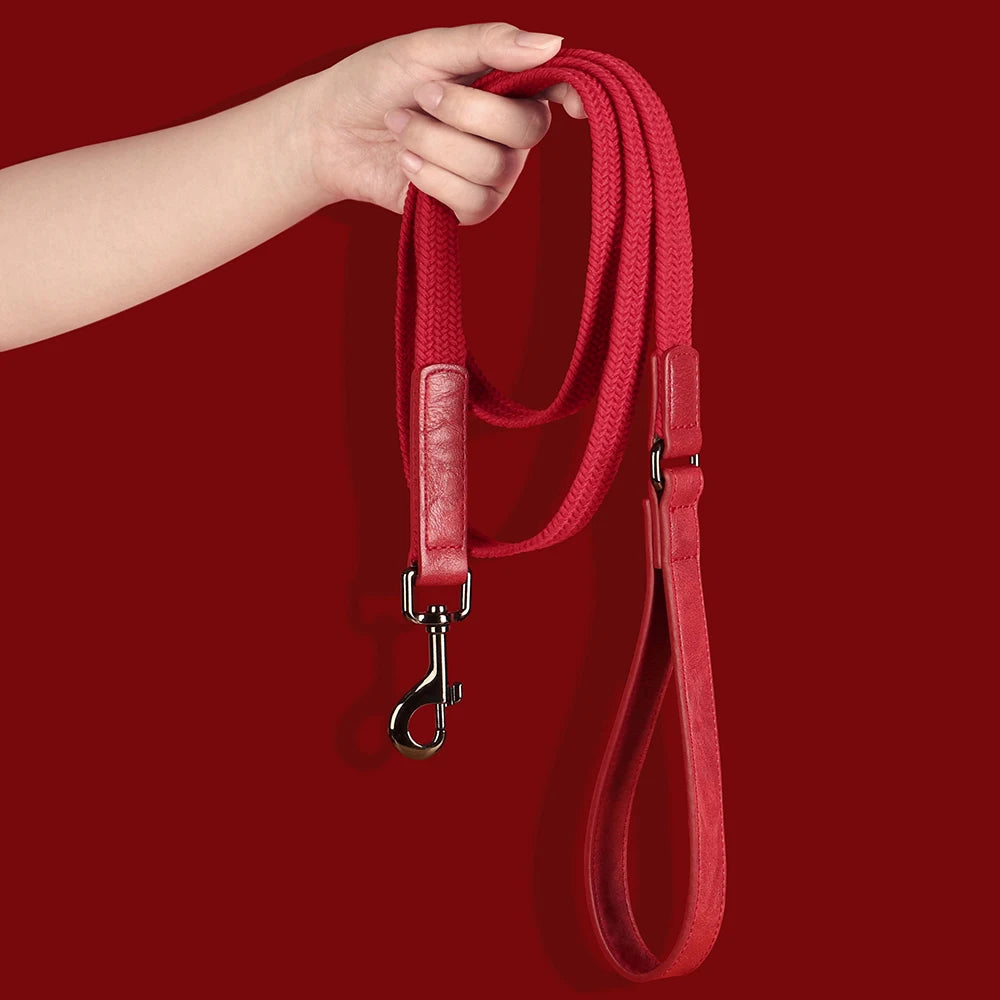 Personalized Durable Nylon Dog Collar & Leash Set