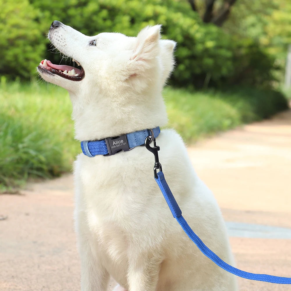 Personalized Durable Nylon Dog Collar & Leash Set