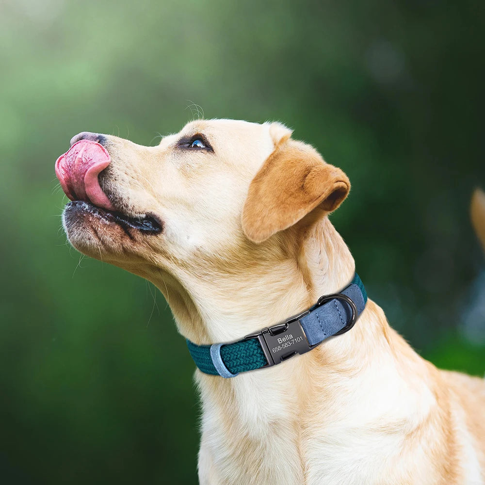 Personalized Durable Nylon Dog Collar & Leash Set