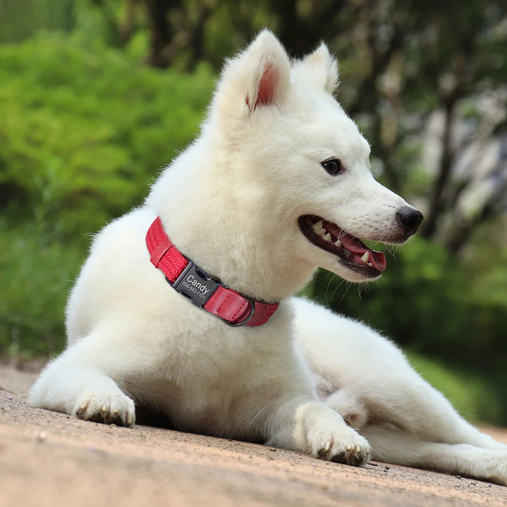 Personalized Durable Nylon Dog Collar & Leash Set