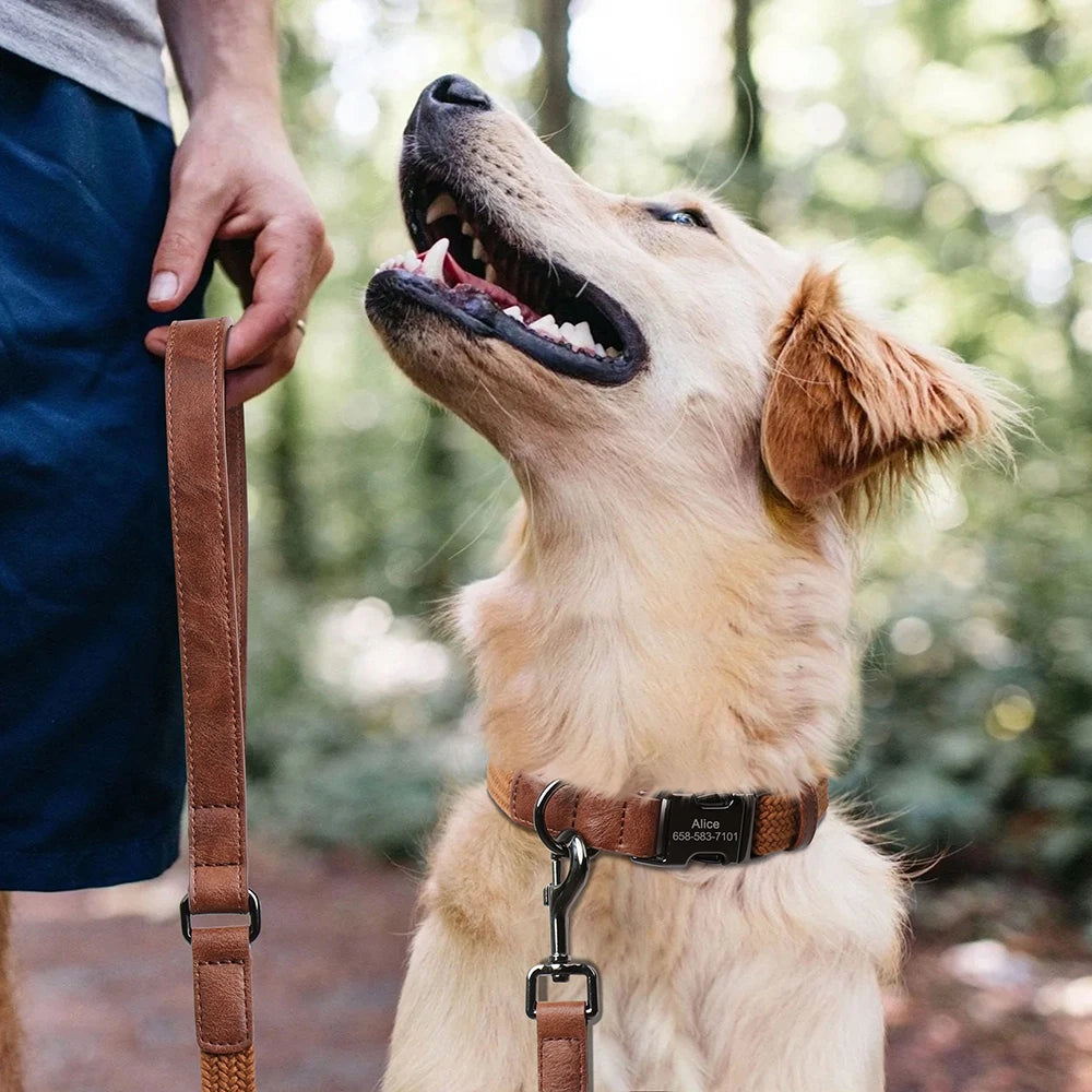 Personalized Durable Nylon Dog Collar & Leash Set